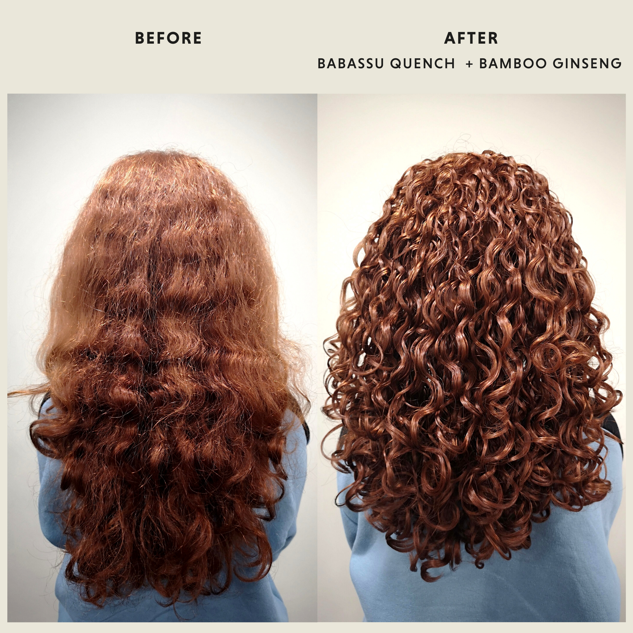 TREPADORABAMBOOGINSENG_725817d